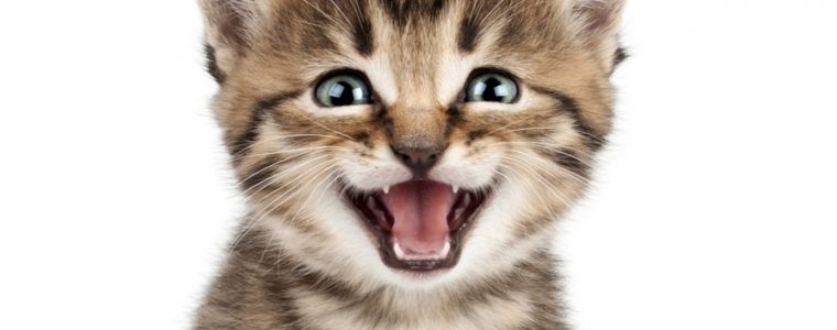 Implementing 404 custom page on Communication Site