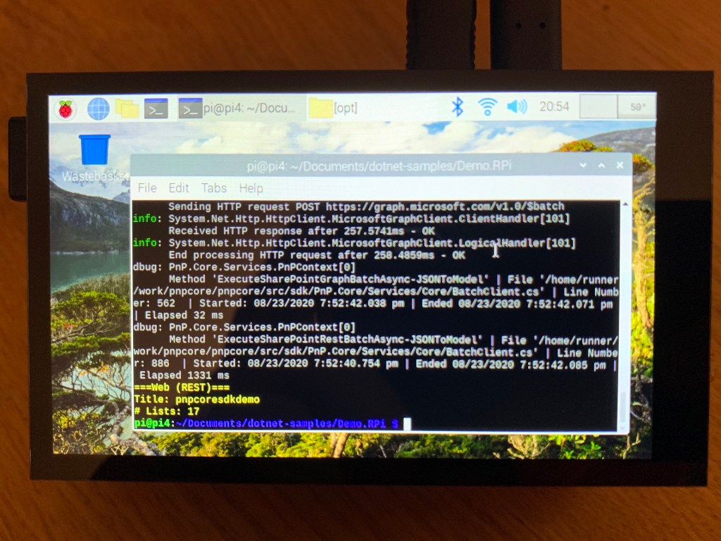 Screenshot of the output of PowerShell commands running on a Raspberry Pi 4